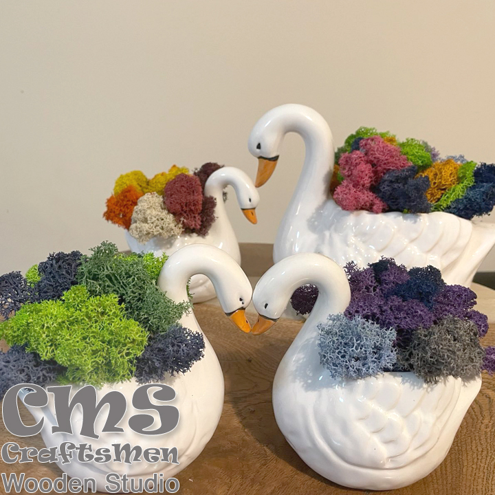 Лебеди със скандинавски мъх