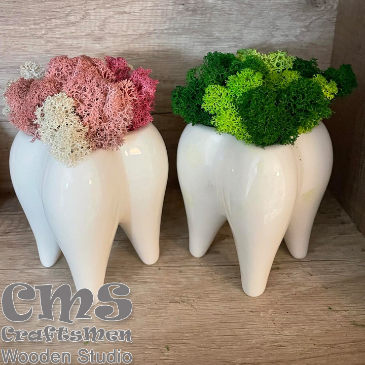 Зъбчета със скандинавски мъх