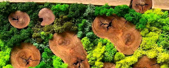 Пана от скандинавски мъх и дърво